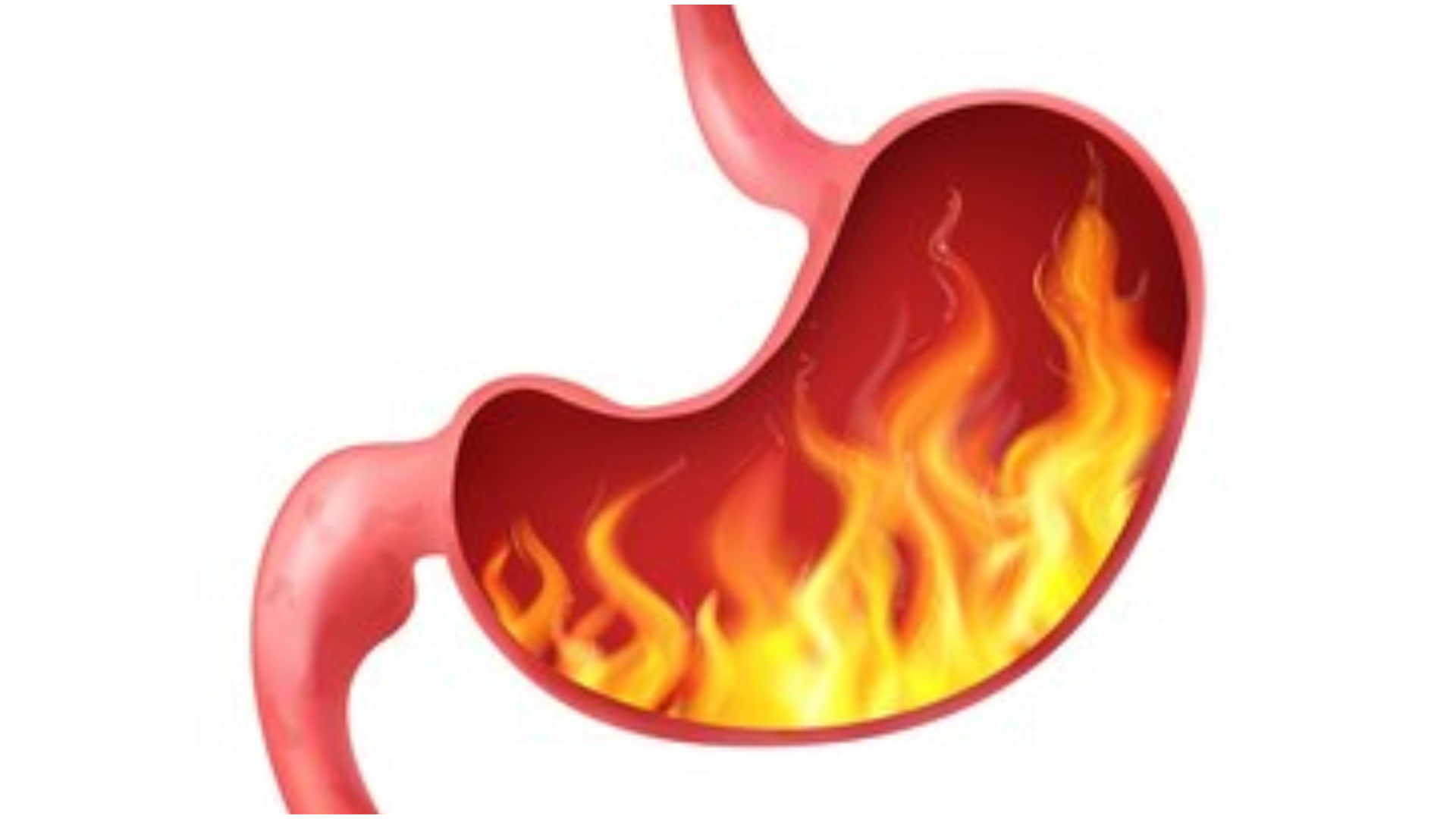 these people should not use copper bottle for water tambe ke bartan me pani pine ke nuksan