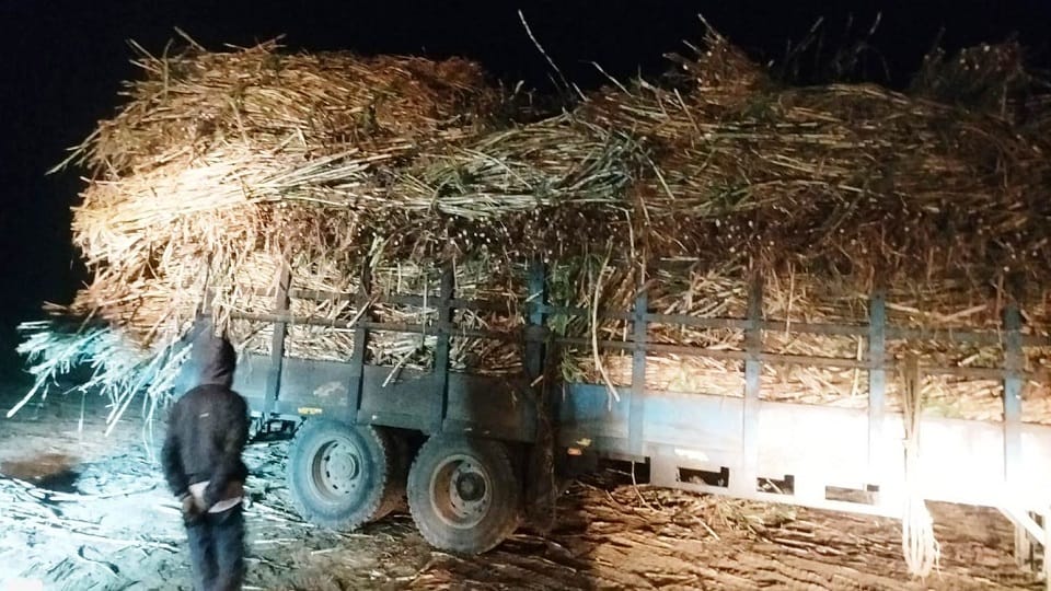 Muzaffarnagar: Case filed against five including wool mill managers for illegal sugarcane purchase