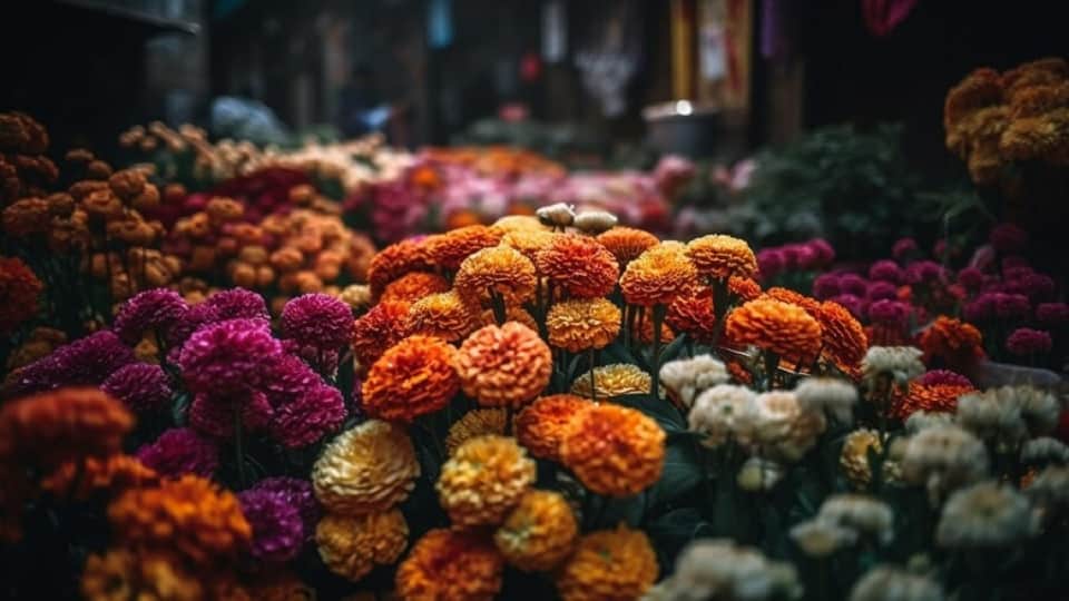 Greenery Get coolness and oxygen from 101 types of plants seasonal flowers are enhancing beauty of home