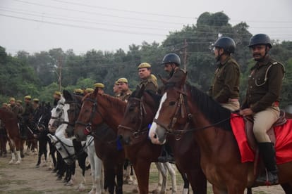 Maha Kumbh: American and British breed horses brought in, these horses named Dara, Raka, Ran Kumbh will help t