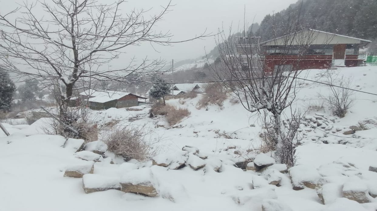 Himachal Weather: cold wave after snowfall, minimum temperature recorded in minus at 15 places