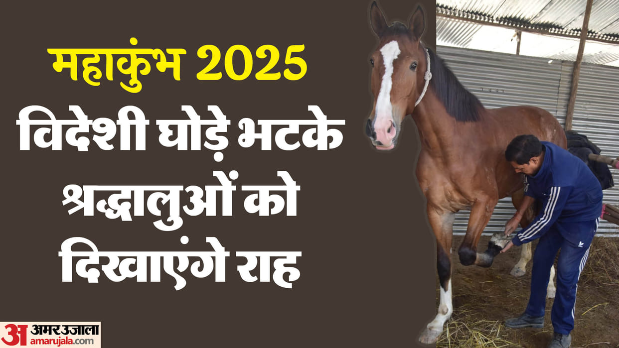 Maha Kumbh: American and British breed horses brought in, these horses named Dara, Raka, Ran Kumbh will help t