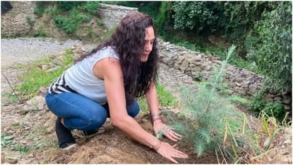 Preity Zinta talks about giving back to mother nature and revealed that she planted Cedar tree three years ago