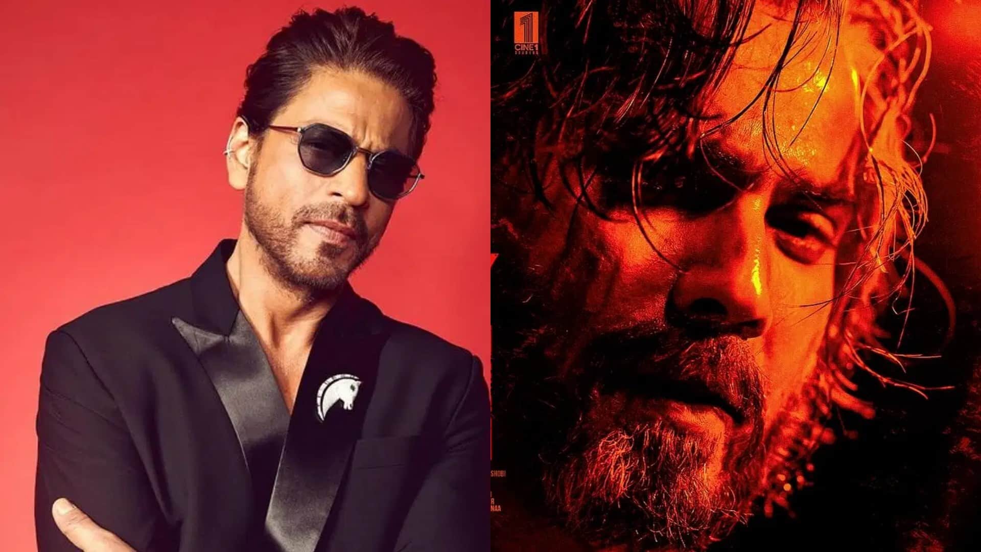 Rajpal Yadav shares his thoughts on Varun Dhawan Baby John compares his career to Shah Rukh Khan