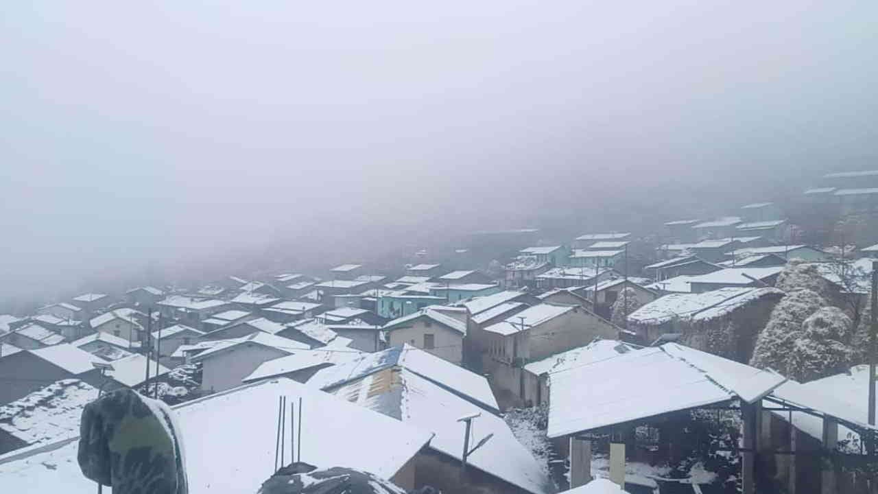 Snowfall Auli Tourists reached Auli enjoyed the snow and also took selfies Uttarakhand News in hindi