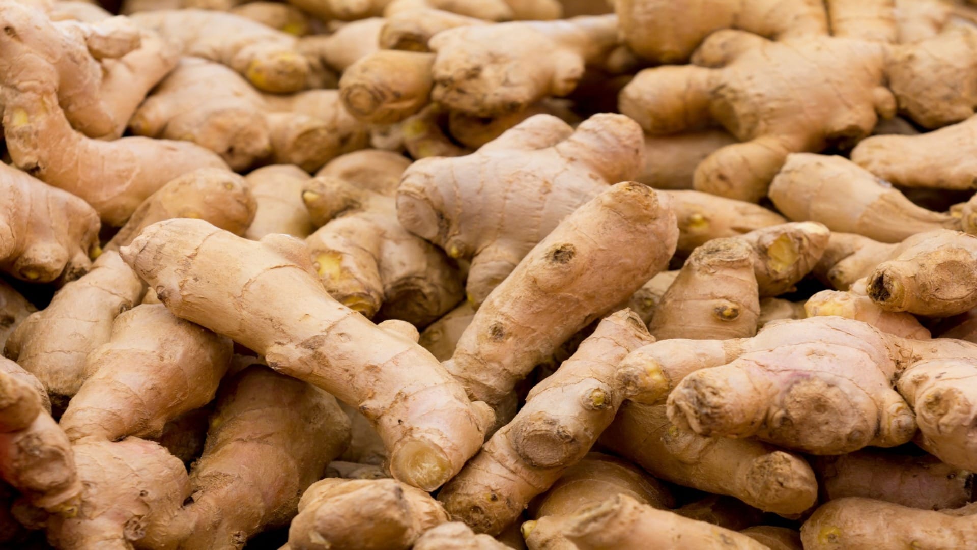 How to identify ginger is fake or not know method here