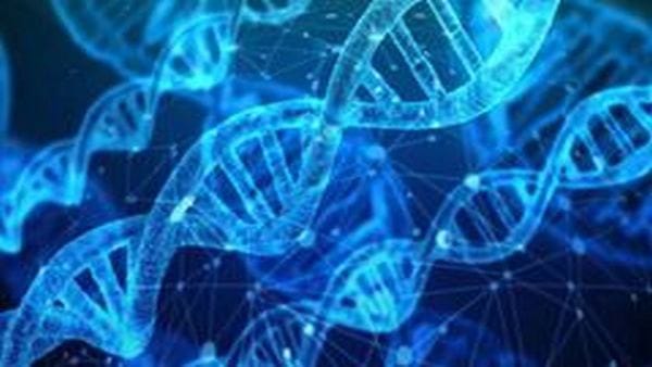Good news for hemophilia patients first human gene therapy successful in India effective on severe patients