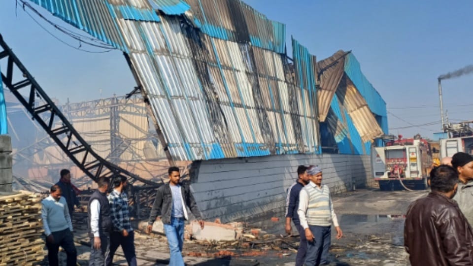 Fire broke out in a plywood factory in Yamunanagar.