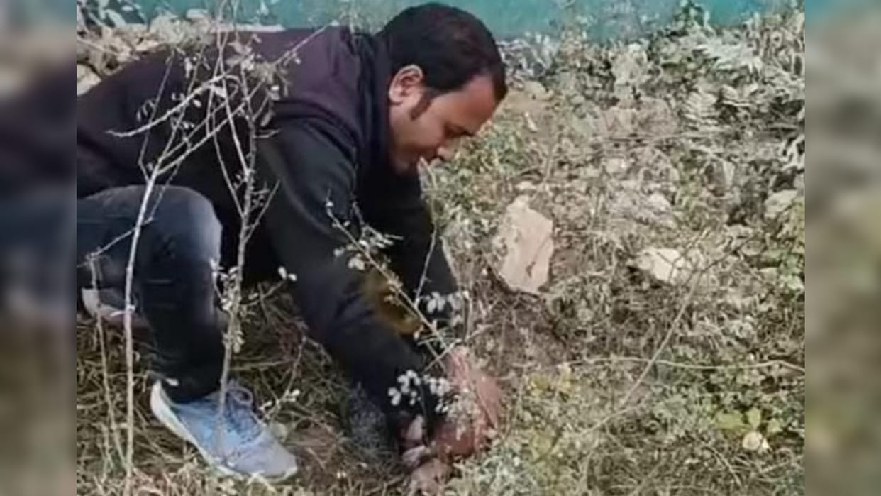Bihar News: Saharsa District Administration newborn was enclosed in polythene, found from bush
