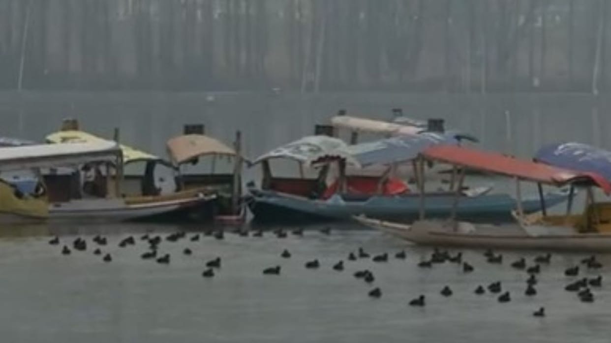 Srinagar Dal Lake: Srinagar's Dal Lake has become charming, cold weather is attracting tourists