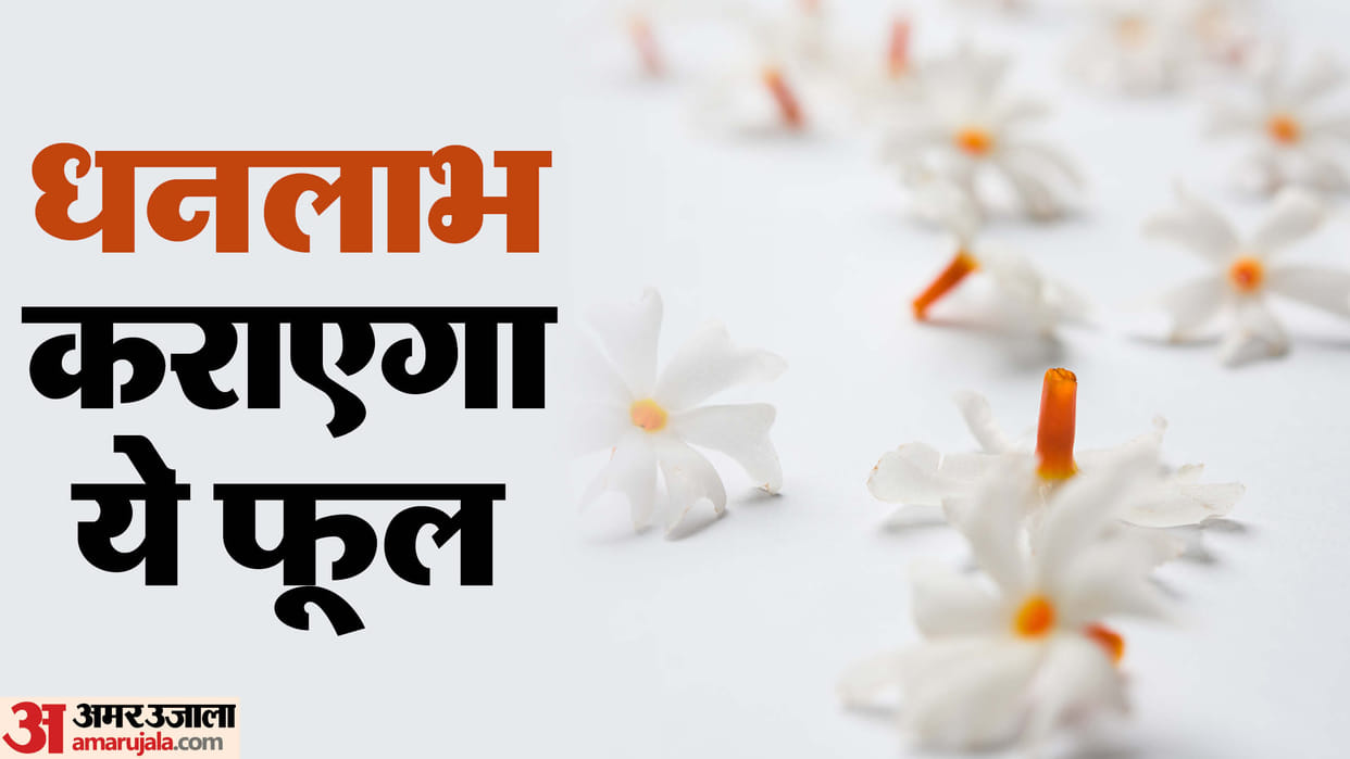 Vastu Tips Parijata Plant Benefits Improve Finances and Remove Negative Energy in hindi