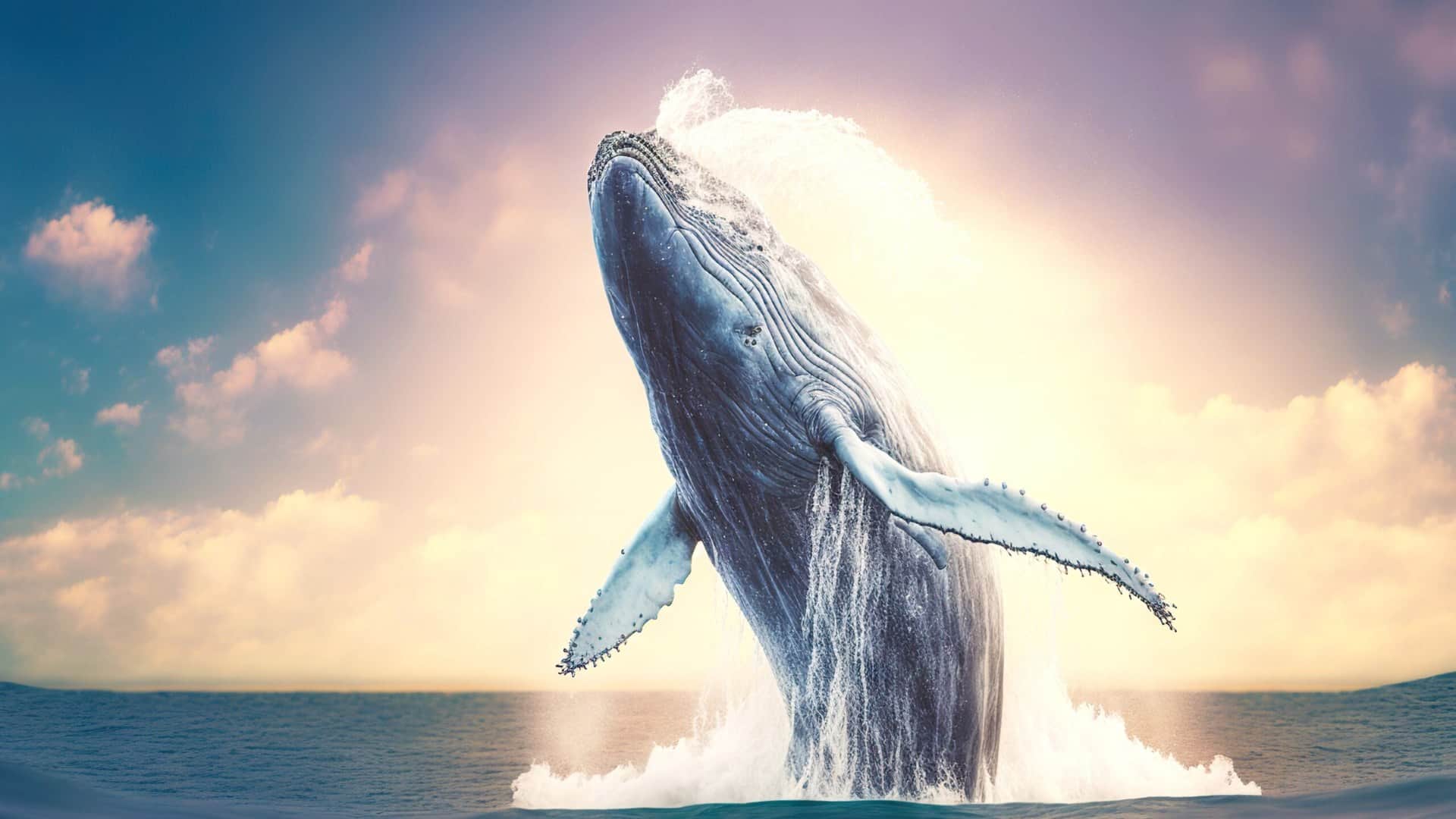 Ajab Gajab: Whale stuns scientists with record journey spanning three oceans to mate