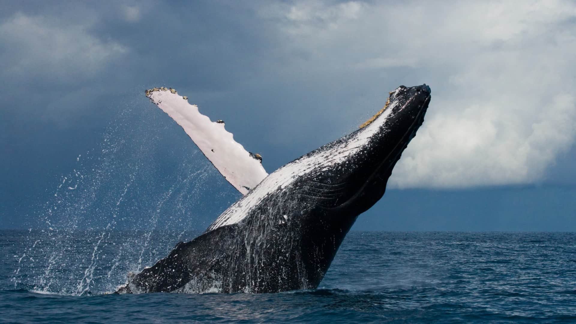 Interesting Amazing Facts About the World Lesser Know Facts in Hindi