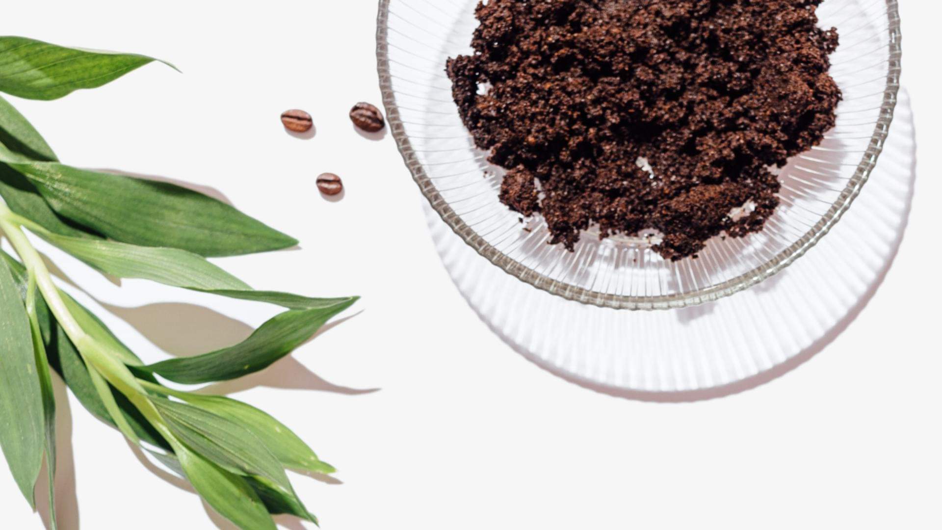 Can you drink black coffee on an empty stomach? Know its effect on digestion