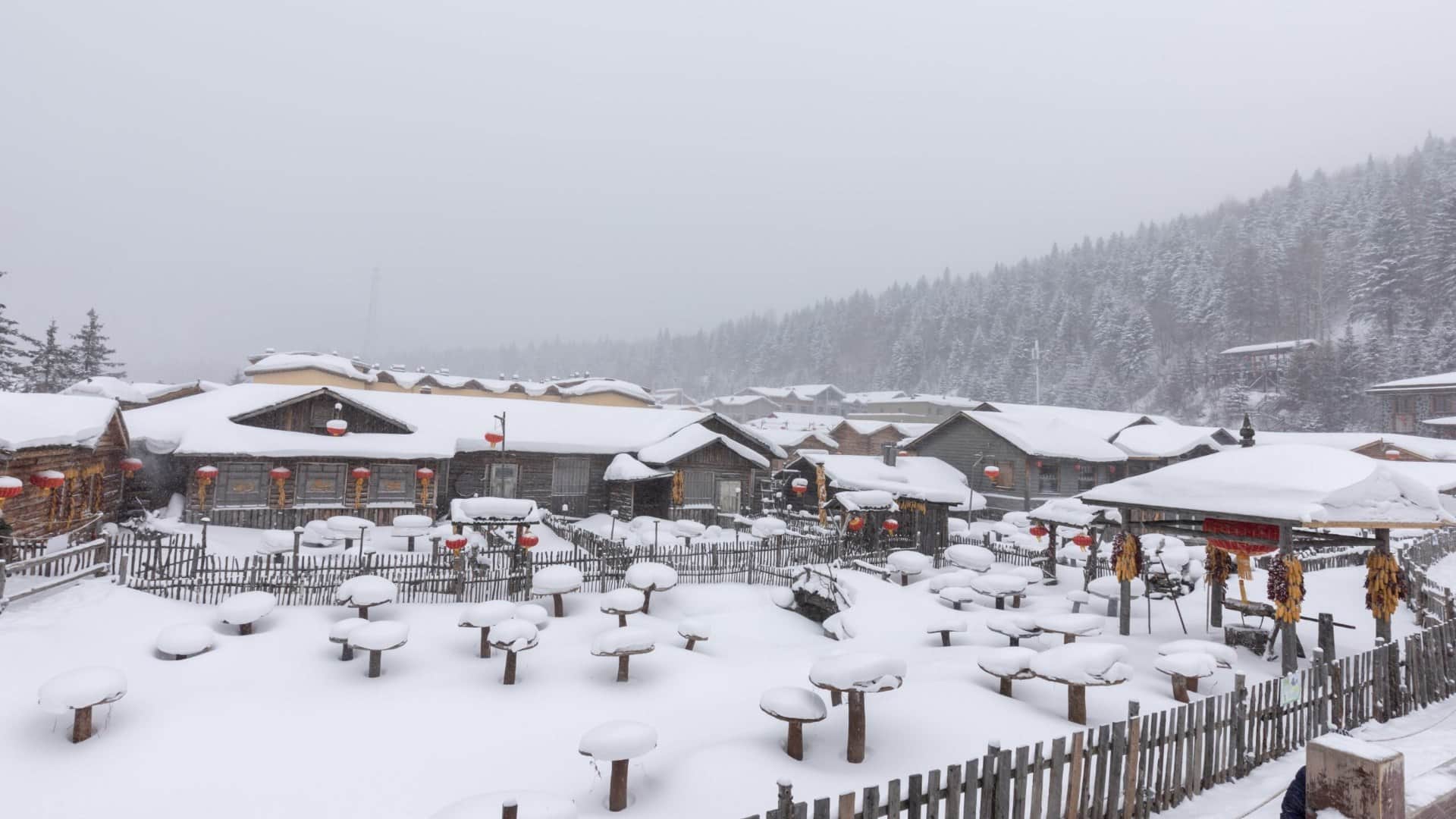 Coldest Place in the world know the Five Coldest Place in The World in Hindi