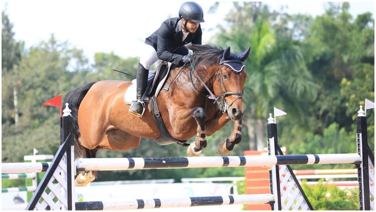 Polo Matches To Be Held In Maghi Fair Chandigarh Polo Club To Host Punjab Horse Show – Amar Ujala Hindi News Live