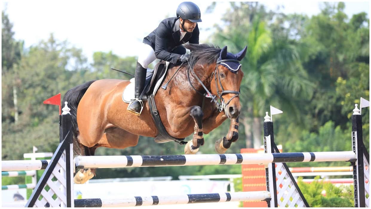 In Equestrian sports, should the horse be considered athlete or equipment? Questions arose, know matter here