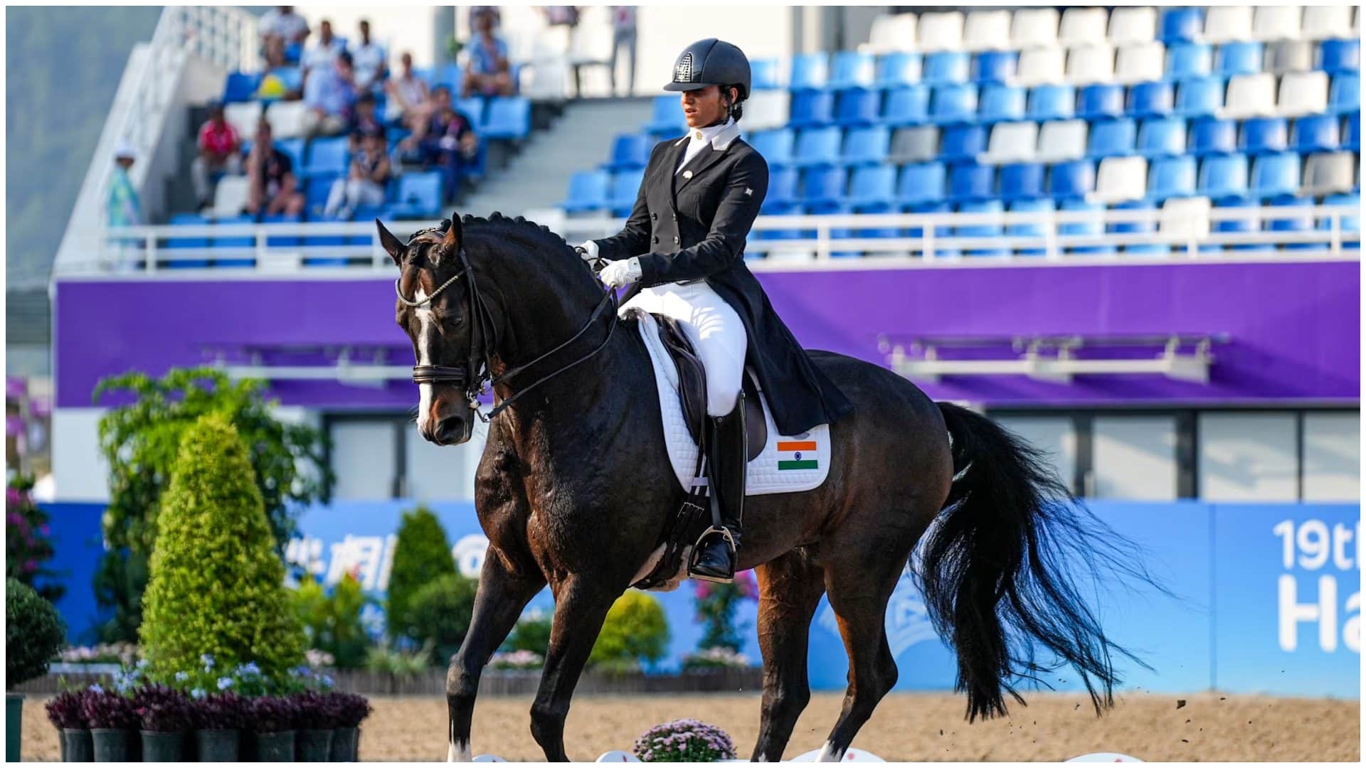 In Equestrian sports, should the horse be considered athlete or equipment? Questions arose, know matter here