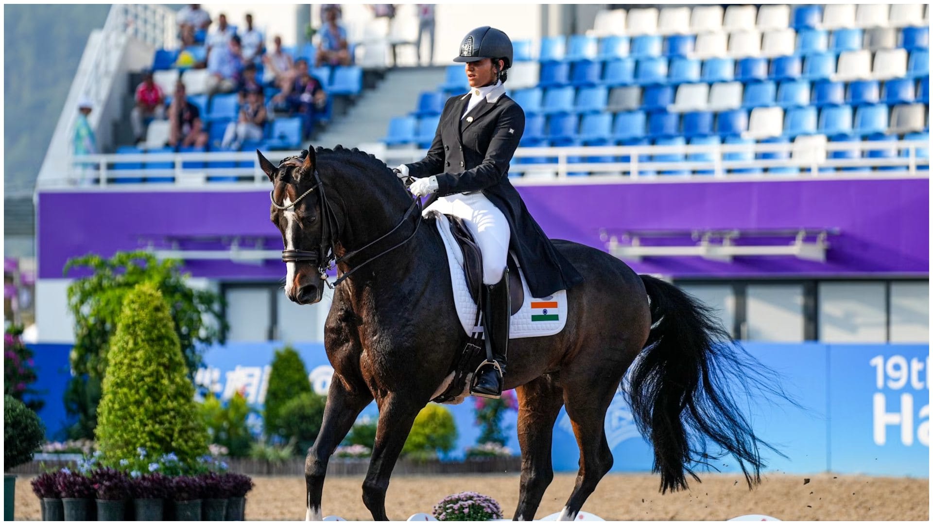 In Equestrian sports, should the horse be considered athlete or equipment? Questions arose, know matter here