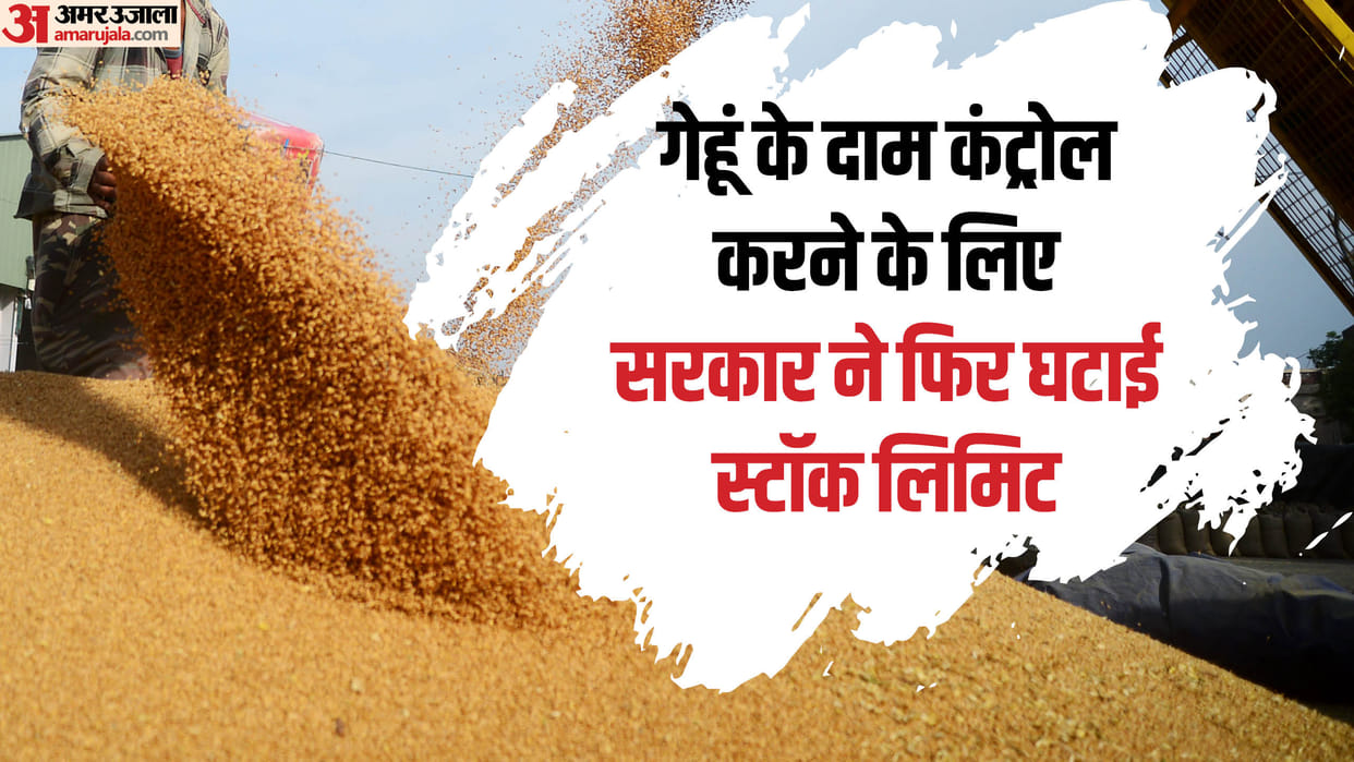 Wheat Price get relief from inflation government will not reduce price of flour