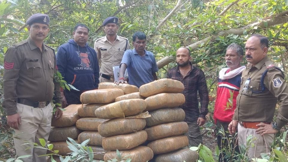 गांजा तस्कर गिरफ्तार