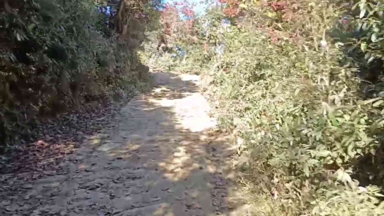 Kartik Swami Track will become a center of tourism along with environmental protection Rudraprayag Uttarakhand