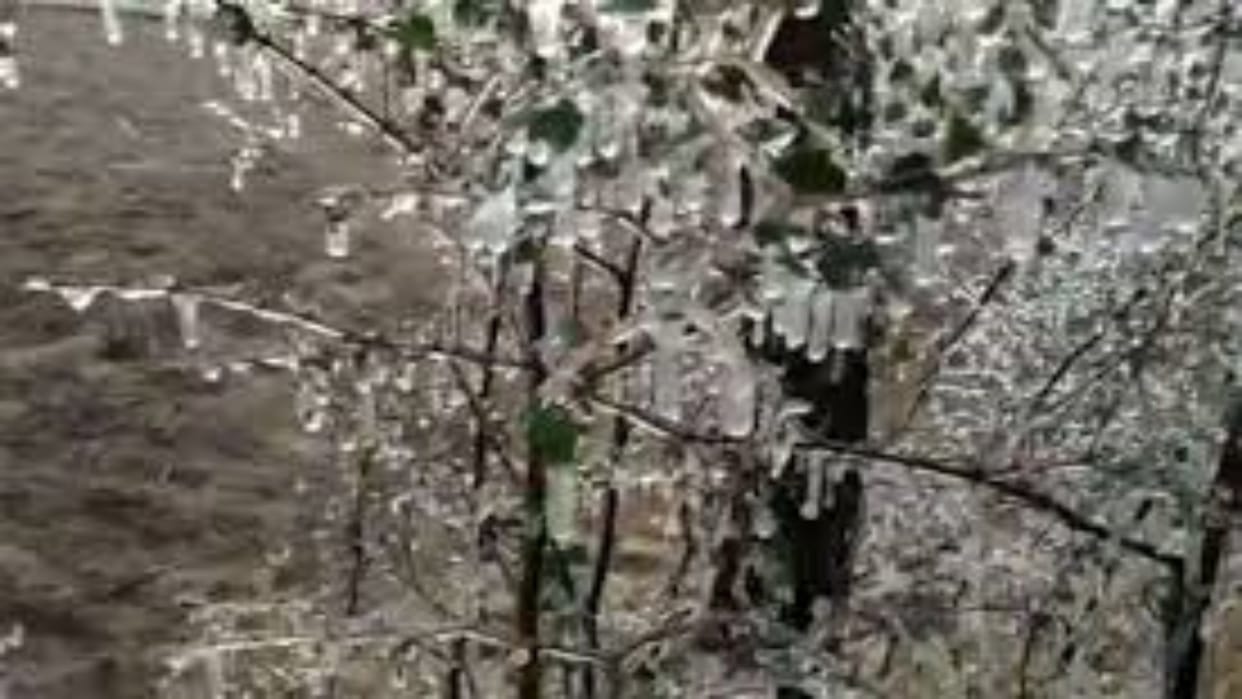 Rajasthan Weather Today: Cold wave in Rajasthan, snow in Sikar-Churu, mood will be more severe in 5 days