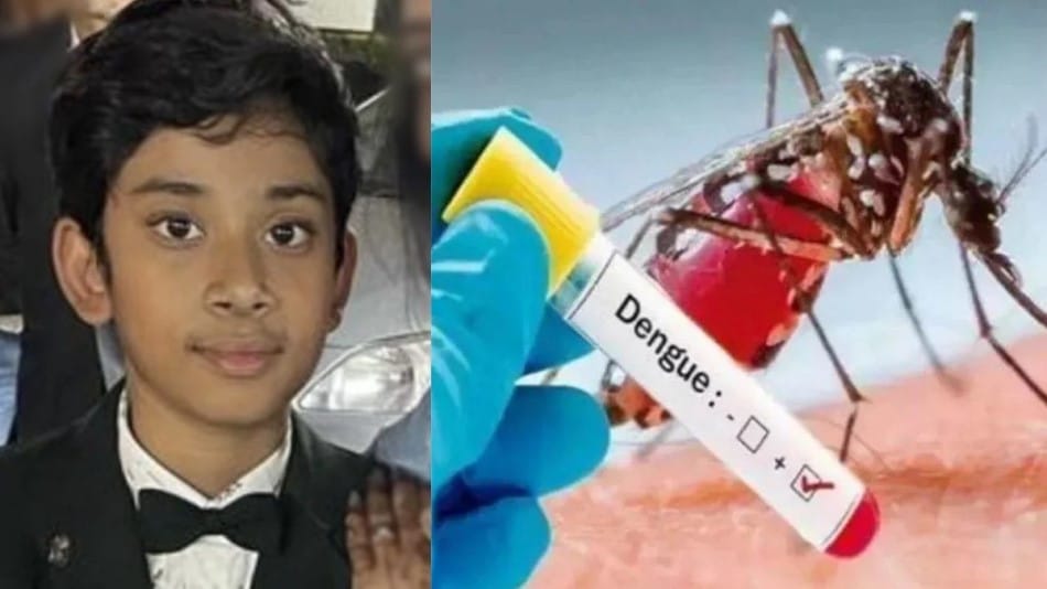 indore news dengue case young boy Death