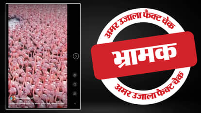 फैक्ट चेक