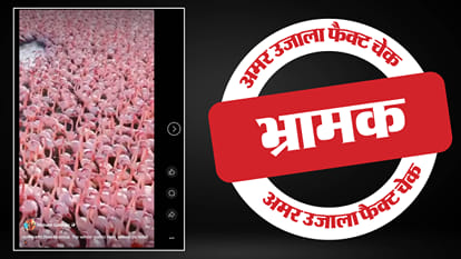 फैक्ट चेक