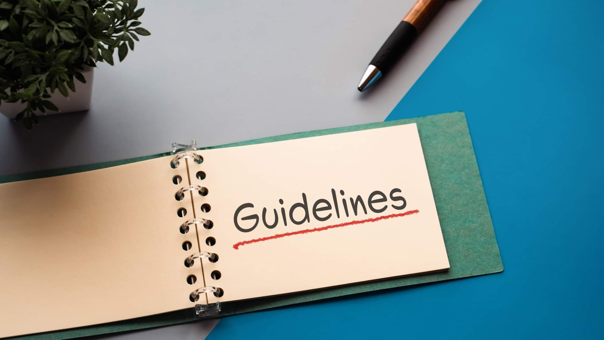 Guidelines, दिशा-निर्देश