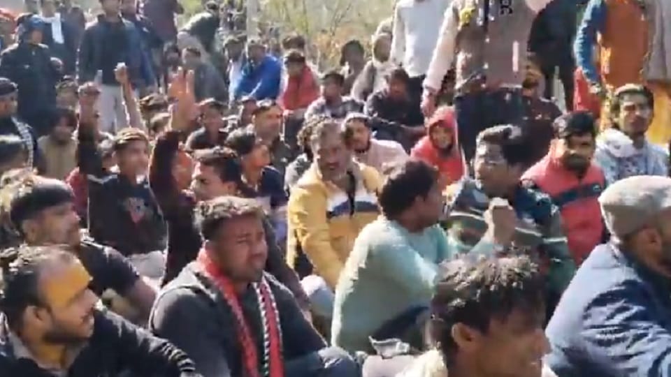 Skeletons of cows found in Mathura Cow devotees blocked Mathura-Vrindavan road Police lathicharged