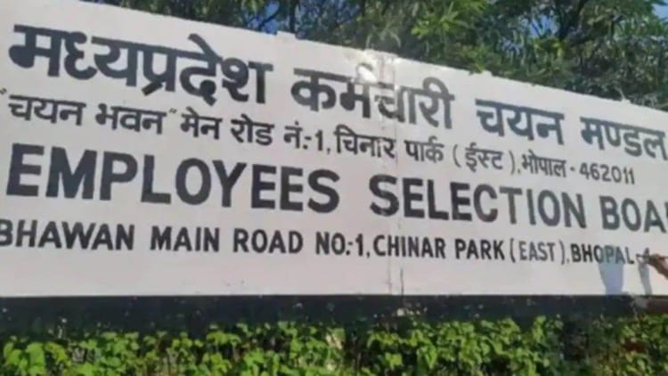 MP News: मध्य प्रदेश कर्मचारी चयन मंडल में 60% पद खाली, 187 में से सिर्फ 73 कर्मचारी ही कार्यरत