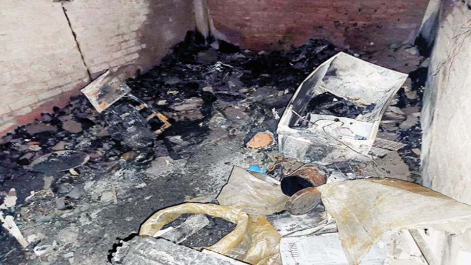 Accident: A rat ran away with the wick of the lamp, a huge fire broke out in the house