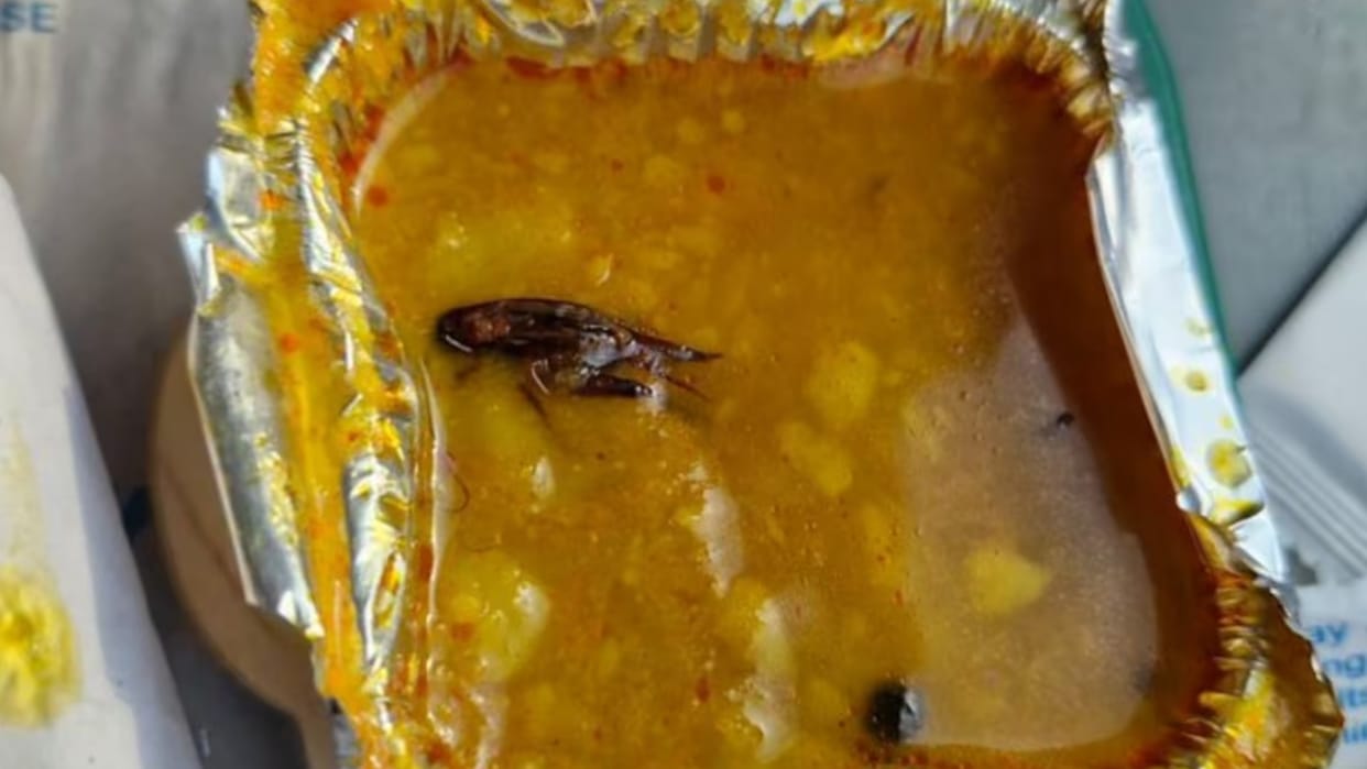 Insect found in food of Varanasi-New Delhi Vande Bharat, passenger complains