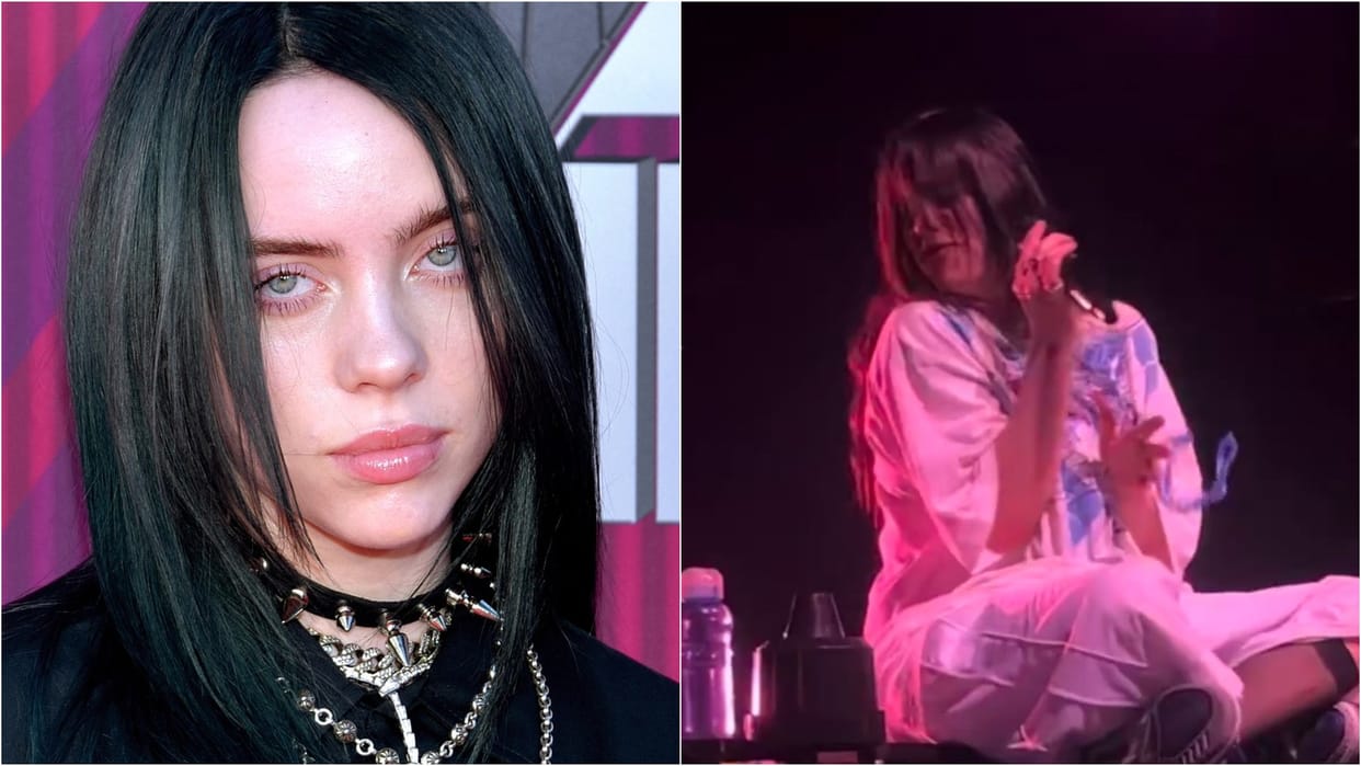 Grammy winning singer Billie Eilish got hit by a necklace from crowd during a concert in Arizona video viral