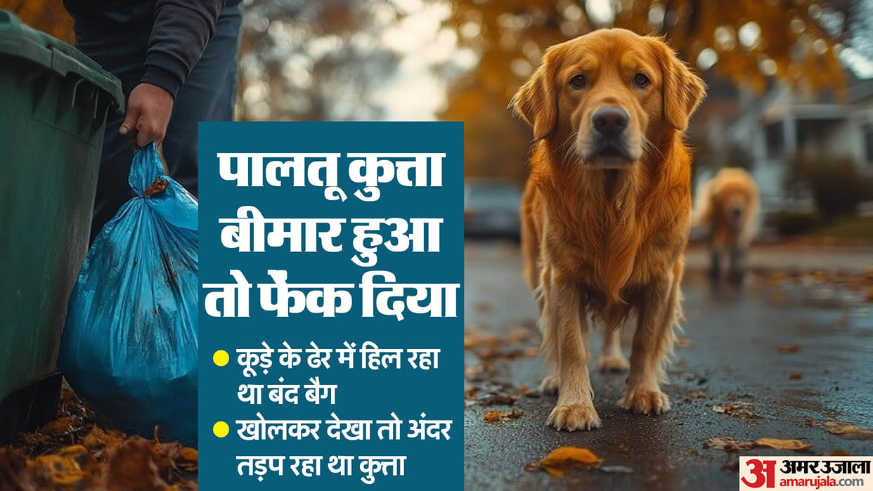 Pet dog thrown in a garbage heap after being locked in a plastic bag