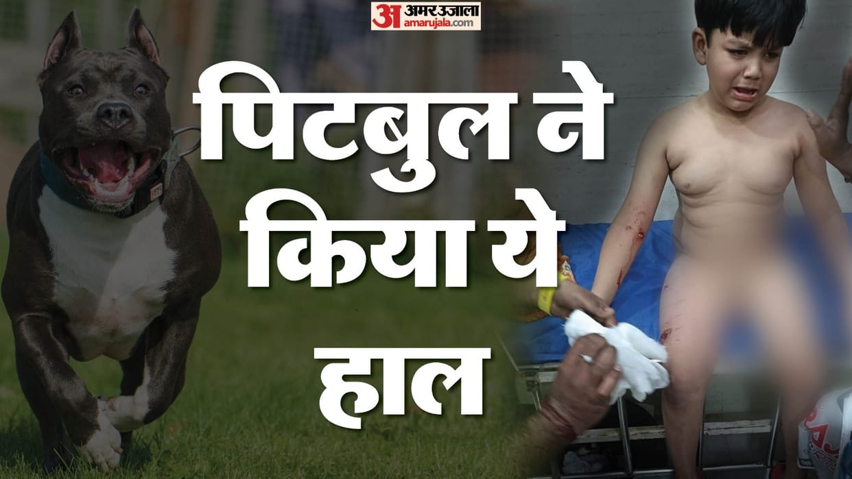 Pitbull bit boy and girl riding bicycle in Ghaziabad