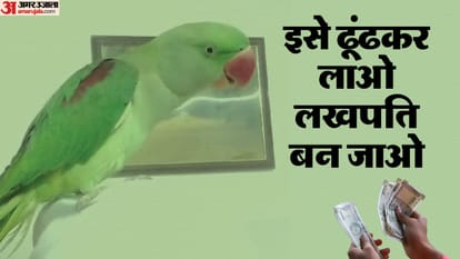 तोता विष्णु को खोजने वाले को एक लाख का इनाम