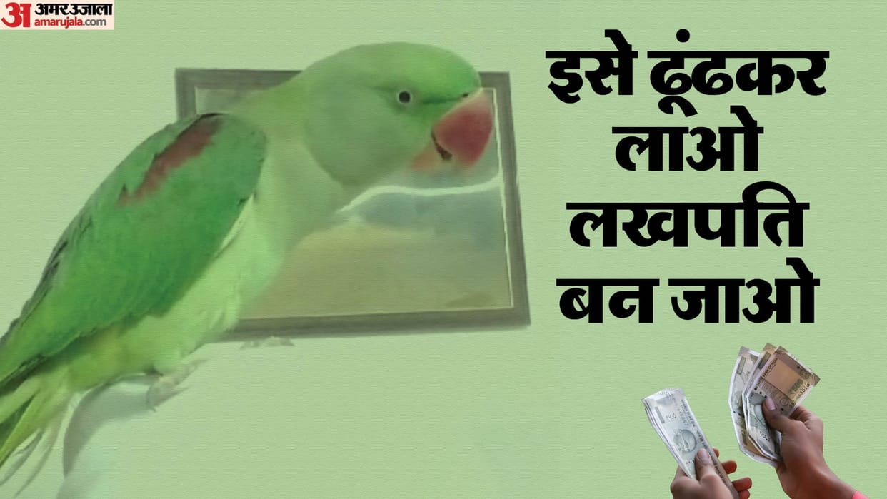 One lakh rupees reward for the person who finds the lost parrot