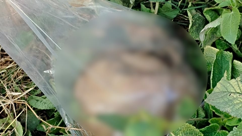 Young man along with his relatives killed his lekhpal friend his head found in drain in bareilly see photos