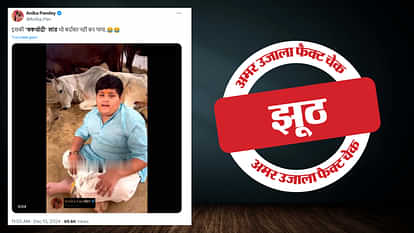 Video of Abhinav Arora trampled by a bull viral with misleading claim