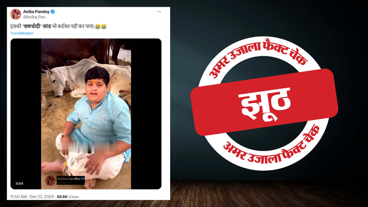 Video of Abhinav Arora trampled by a bull viral with misleading claim