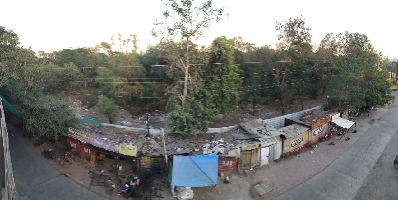 indore news tree cutting save nature water level green belt