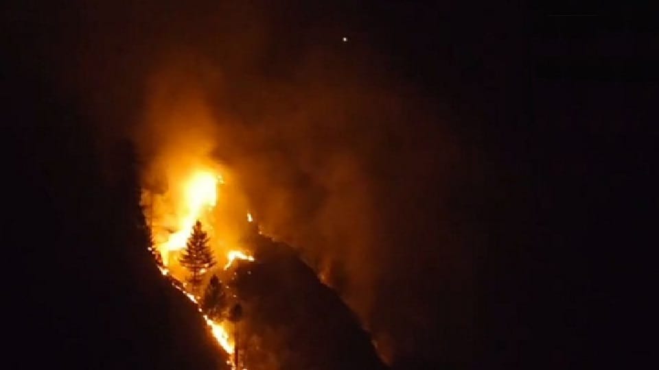 Fire broke out in forests of Mendhar near the Line of Control in Poonch