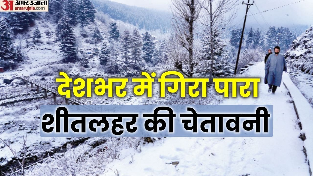 Weather Update Severe Cold From Punjab Haryana To Odisha Temperature Drops News In Hindi Amar