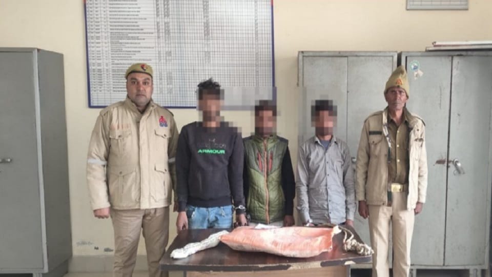 Three criminals caught stealing