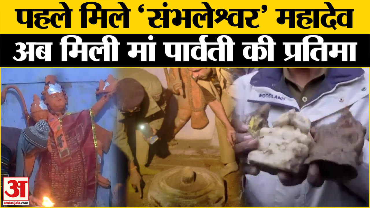 Sambhal Shiv Mandir: खुदाई के बाद मां पार्वती की एक खंडित मूर्ति मिली, जानें और क्या क्या मिला?