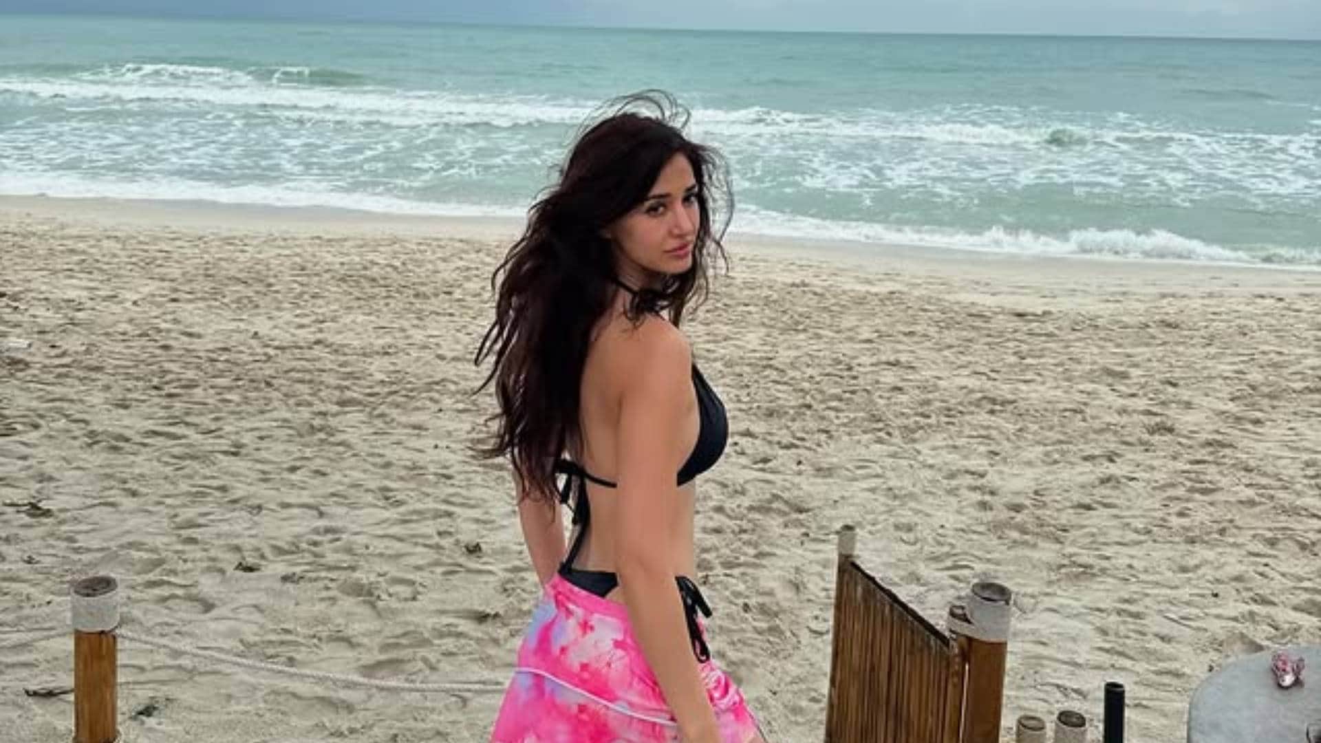 New Year 2025 Bollywood celebs Favourite Destination Katrina Kaif Vicky Kaushal Akshay Kumar Disha Patani