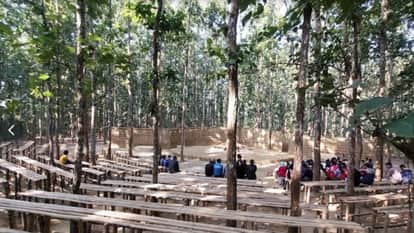 Life Within: Discovering Your True Home Through Trees and Nature